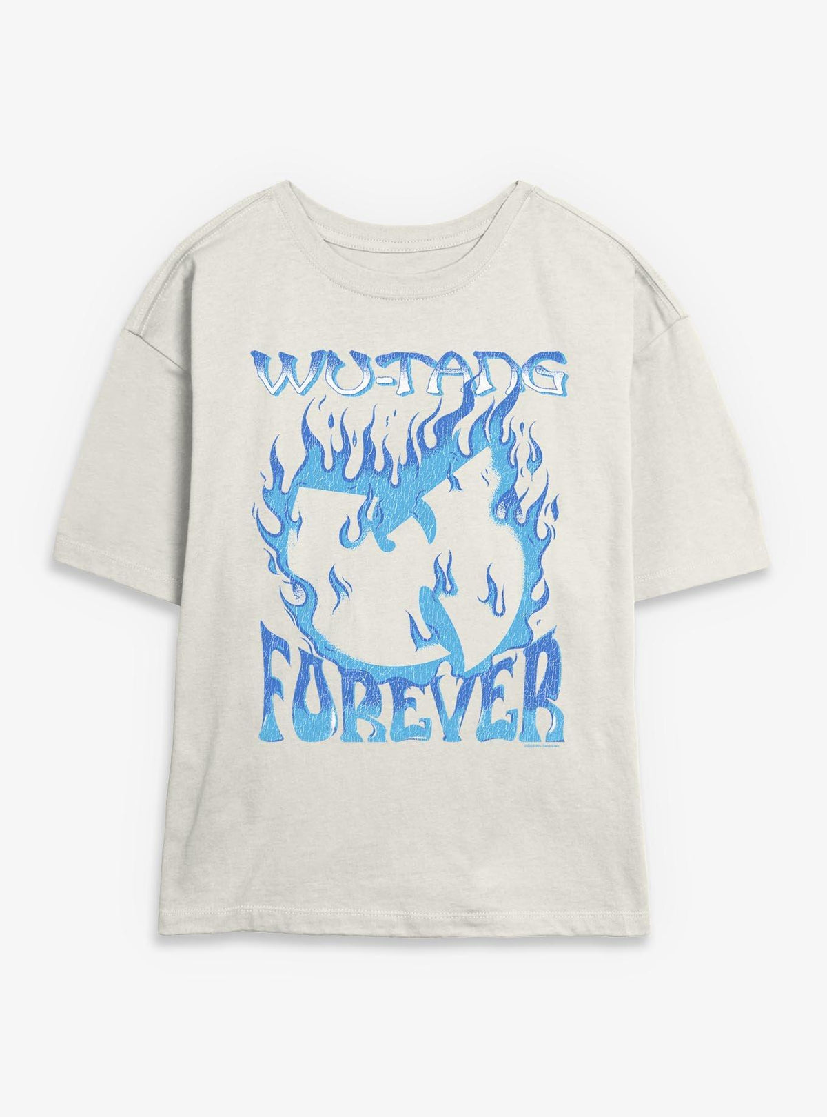 Wu-Tang Clan Blue Flame Logo Girls Skimmer T-Shirt T-Shirt | High-Quality Print | Perfect For Daily Wear